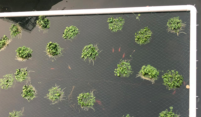 ��̬����